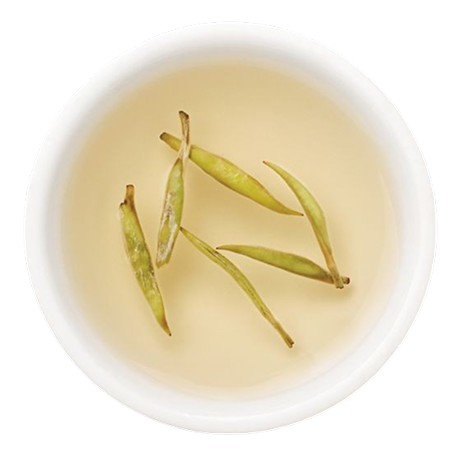 BẠCH TRÀ CAO CẤP
